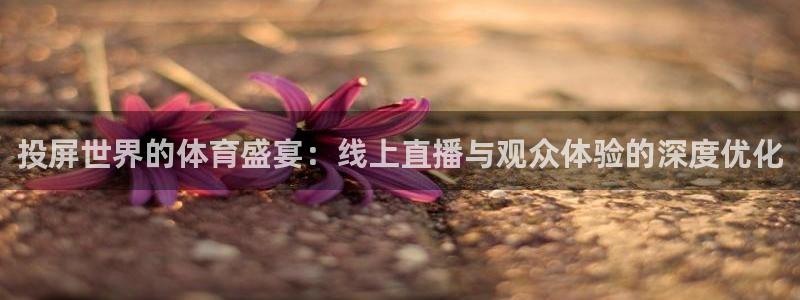 极速体育在线直播足球：投屏世界的体育盛宴：线上直播与观众体验的深度优化