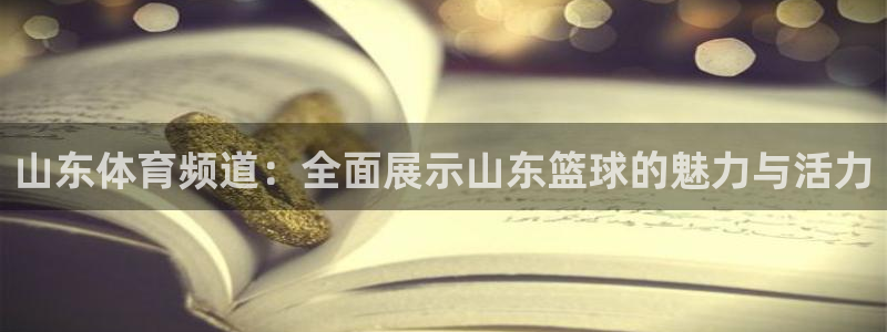 极速体育直播免费观看：山东体育频道：全面展示山东篮球的魅力与活力