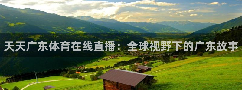 nba直播在线观看极速体育：天天广东体育在线直播：全球视野下的广东故事