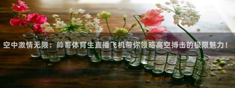 jrs低调直播极速体育：空中激情无限：帅哥体育生直播飞机带你领略高空搏击的极限魅力！