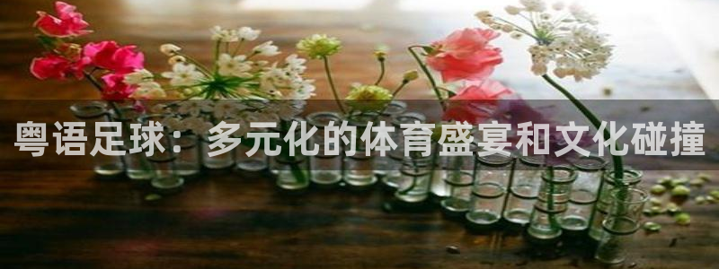 极速篮球体育直播：粤语足球：多元化的体育盛宴和文化碰撞