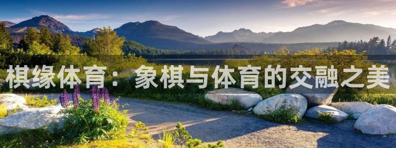 篮球直播jrs极速直播：棋缘体育：象棋与体育的交融之美