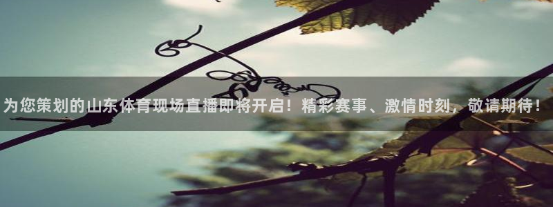 nba在线直播吧极速体育：为您策划的山东体育现场直播即将开启！精彩赛事、激情时刻，敬请期待！