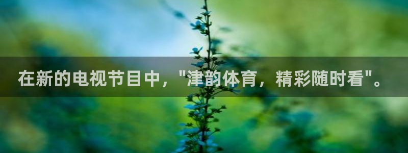 nba极速体育免费：在新的电视节目中，\
