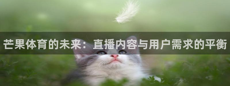 极速直播体育nba直播在线观看：芒果体育的未来：直播内容与用户需求的平衡