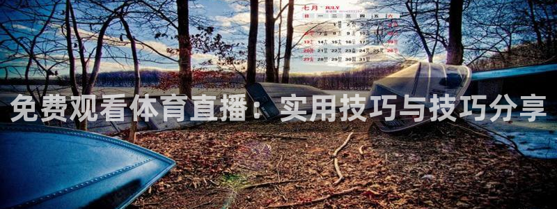飞速极速体育直播：免费观看体育直播：实用技巧与技巧分享