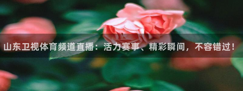 nba无插件极速体育直播：山东卫视体育频道直播：活力赛事、精彩瞬间，不容错过！