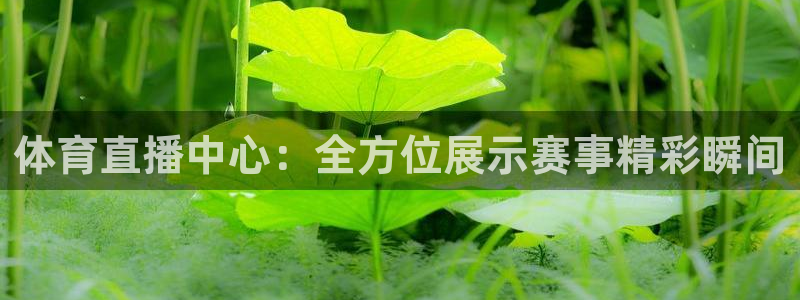 极速体育直播间
