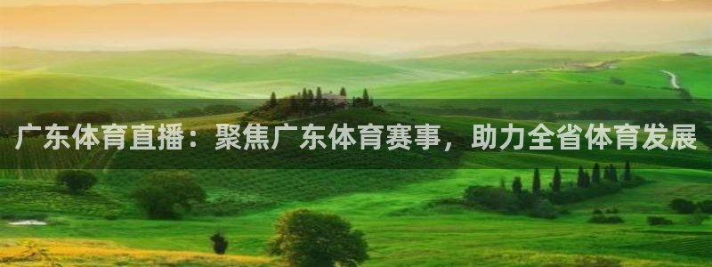 极速体育篮球直播：广东体育直播：聚焦广东体育赛事，助力全省体育发展
